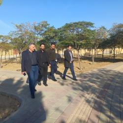 بازید میدانی